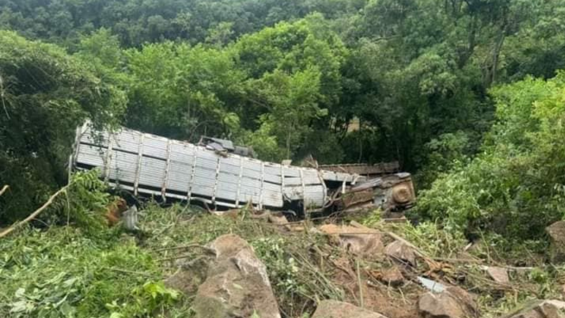 portal plural candelÁria