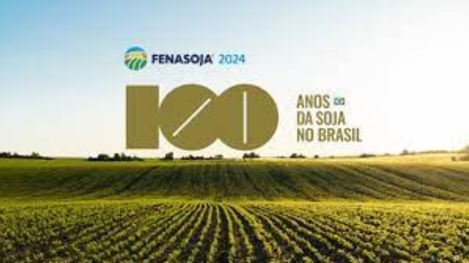 portal plural cidadão paraguaio é detido no paraná ao ser flagrado com pedras preciosas ocultas no sapato