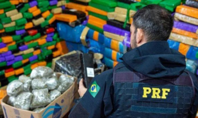 portal plural conheça a rota do tráfico principais rodovias de apreensão de drogas no brasil