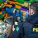 portal plural conheça a rota do tráfico principais rodovias de apreensão de drogas no brasil