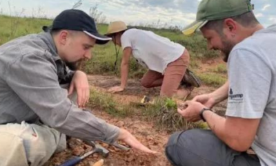 portal plural crânio de anfíbio mais antigo que dinossauros é encontrado no rs