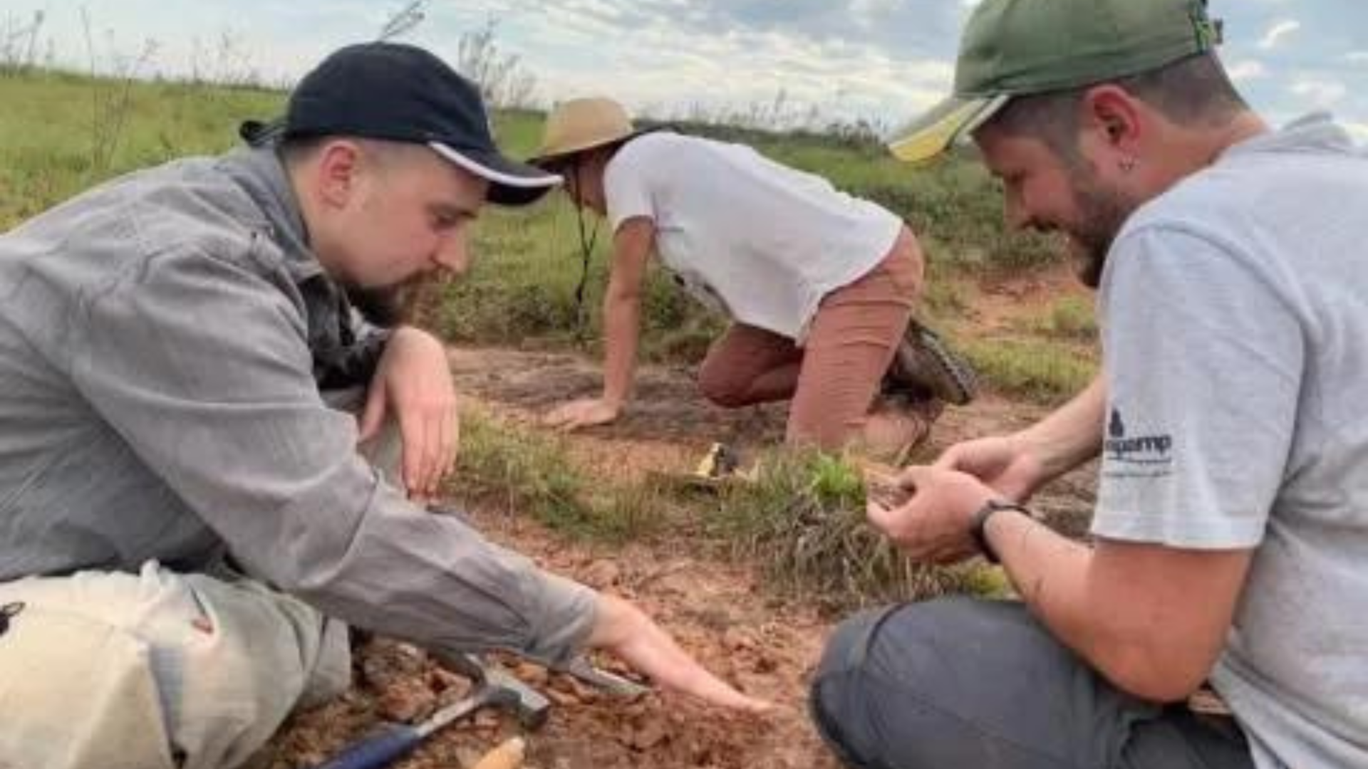 portal plural crânio de anfíbio mais antigo que dinossauros é encontrado no rs