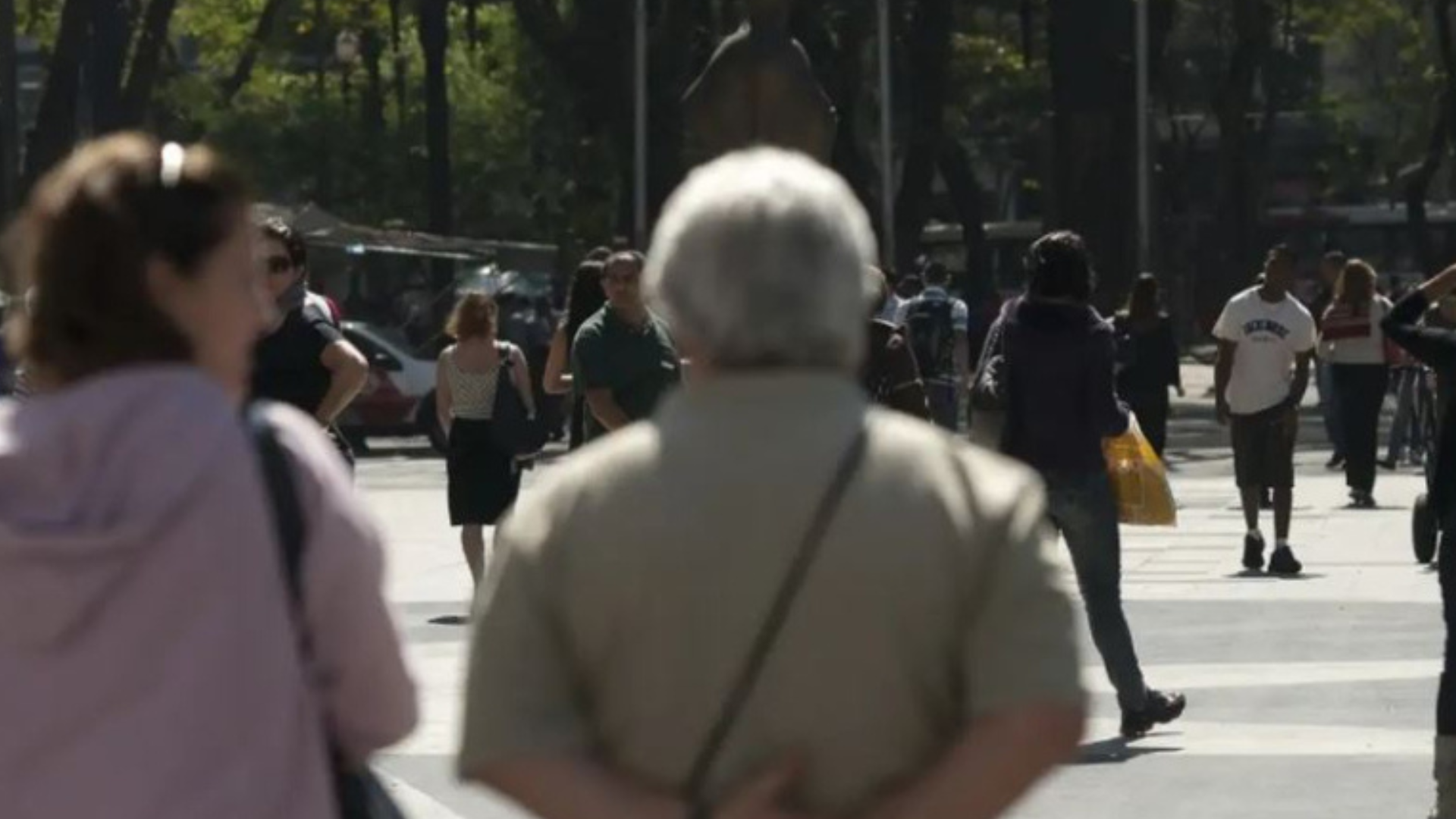 portal plural expectativa de vida