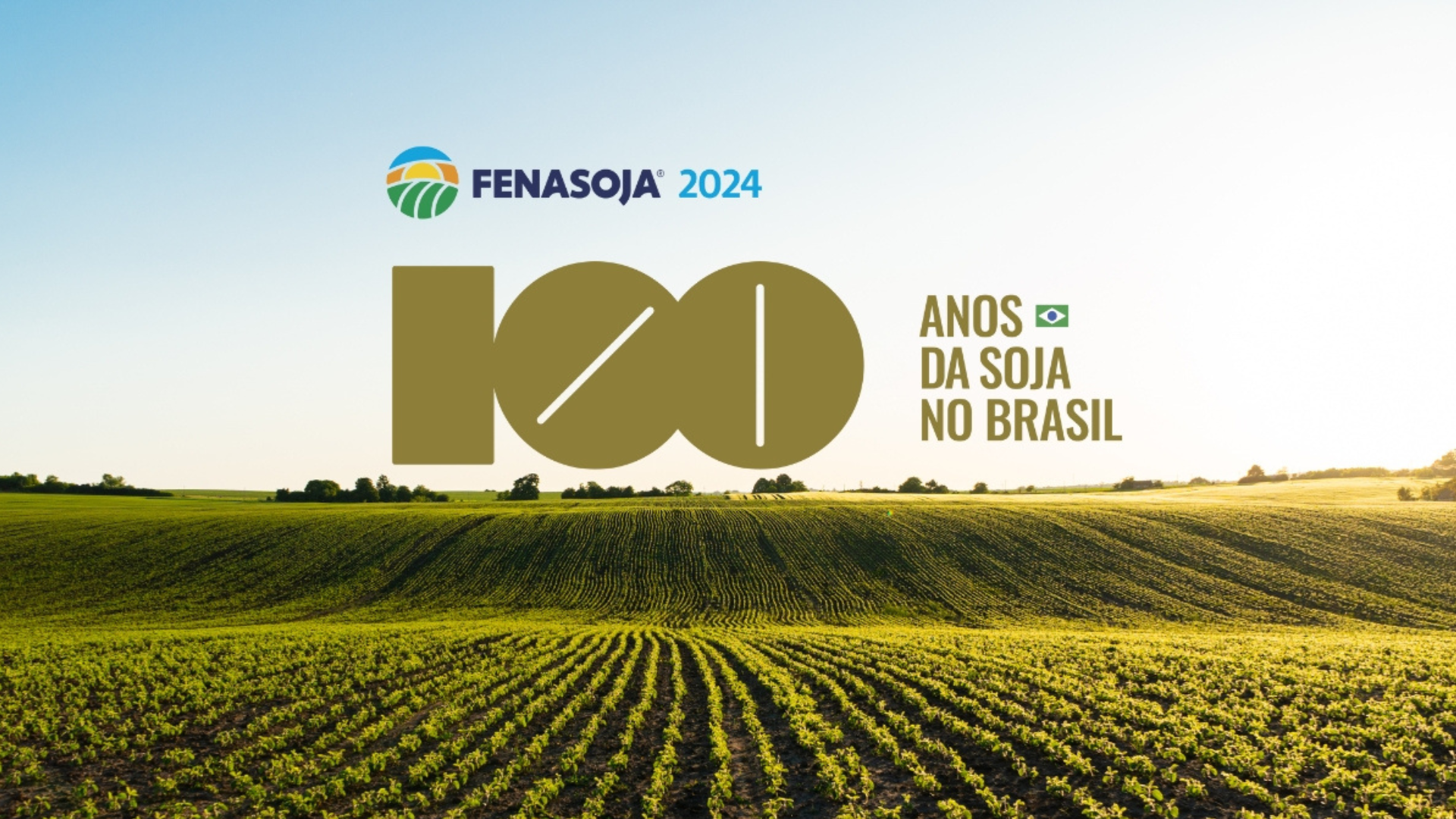 portal plural fenasoja 2024