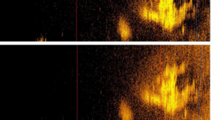 portal plural foto @deep.sea.vision