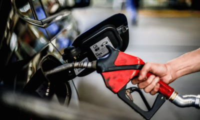 portal plural gasolina