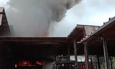 portal plural incêndio atinge empresa agrícola em santa maria