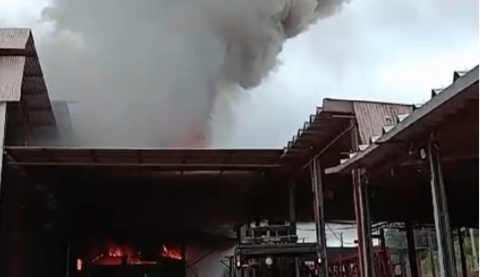 portal plural incêndio atinge empresa agrícola em santa maria