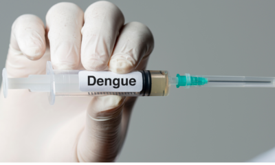 portal plural primeiras doses da vacina do sus contra dengue chegam ao brasil