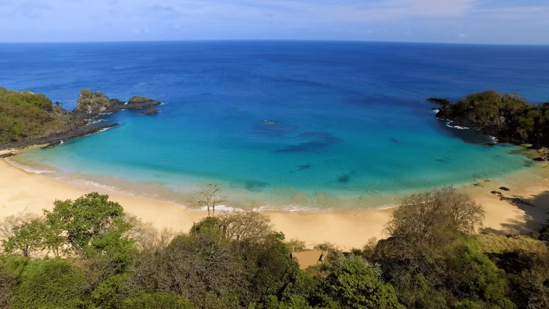 portal plural sancho