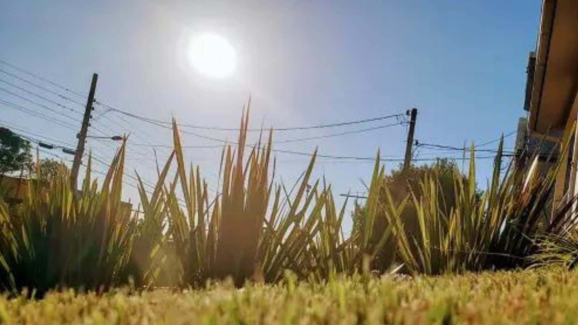 portal plural clima rs