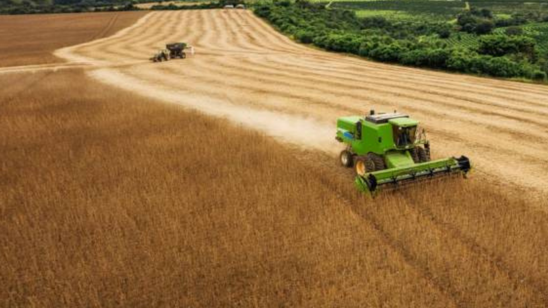 portal plural sicredi