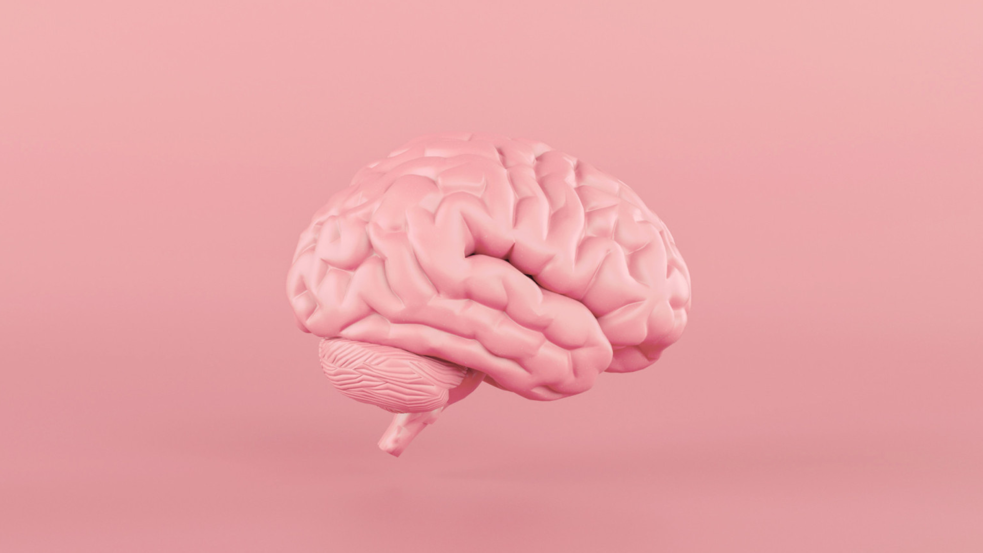 portal plural conheça três alimentos doces que fazem bem ao cérebro