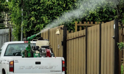 portal plural eua emitem alerta de saúde para viagens ao brasil por causa da dengue