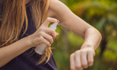 portal plural quais repelentes posso usar contra o mosquito da dengue