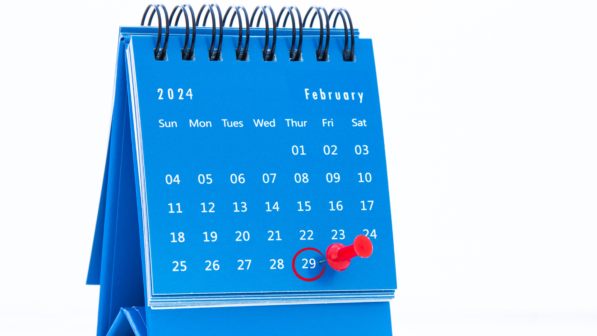 portal plural ano bissexto