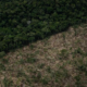 portal plural desmatamento na amazônia