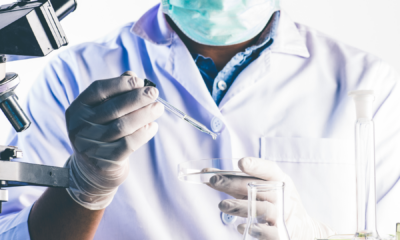 portal plural apagão no campus do vale da ufrgs gera perdas de milhões em pesquisas e equipamentos