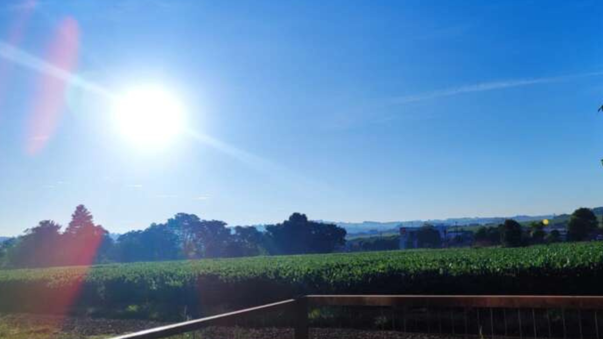 portal plural calor 40ºc