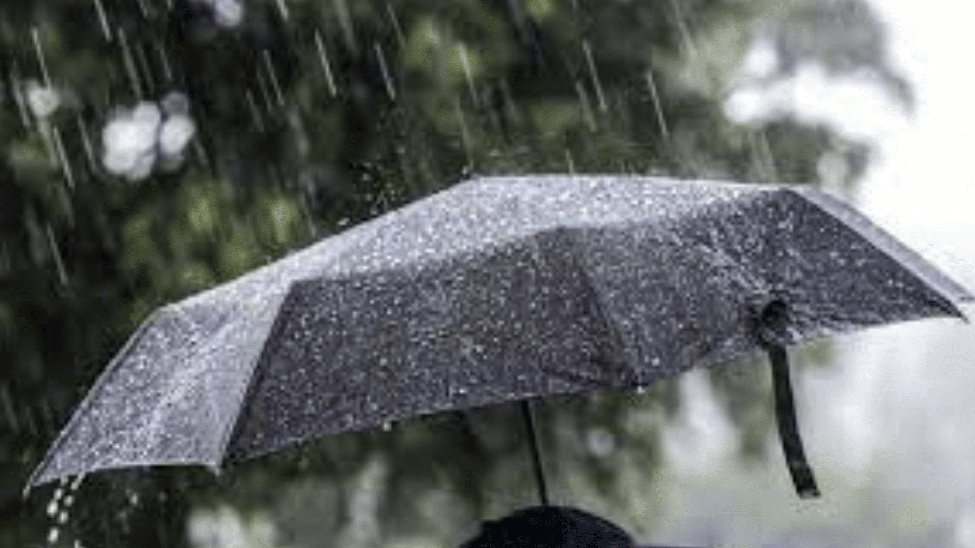 portal plural chuvas rs