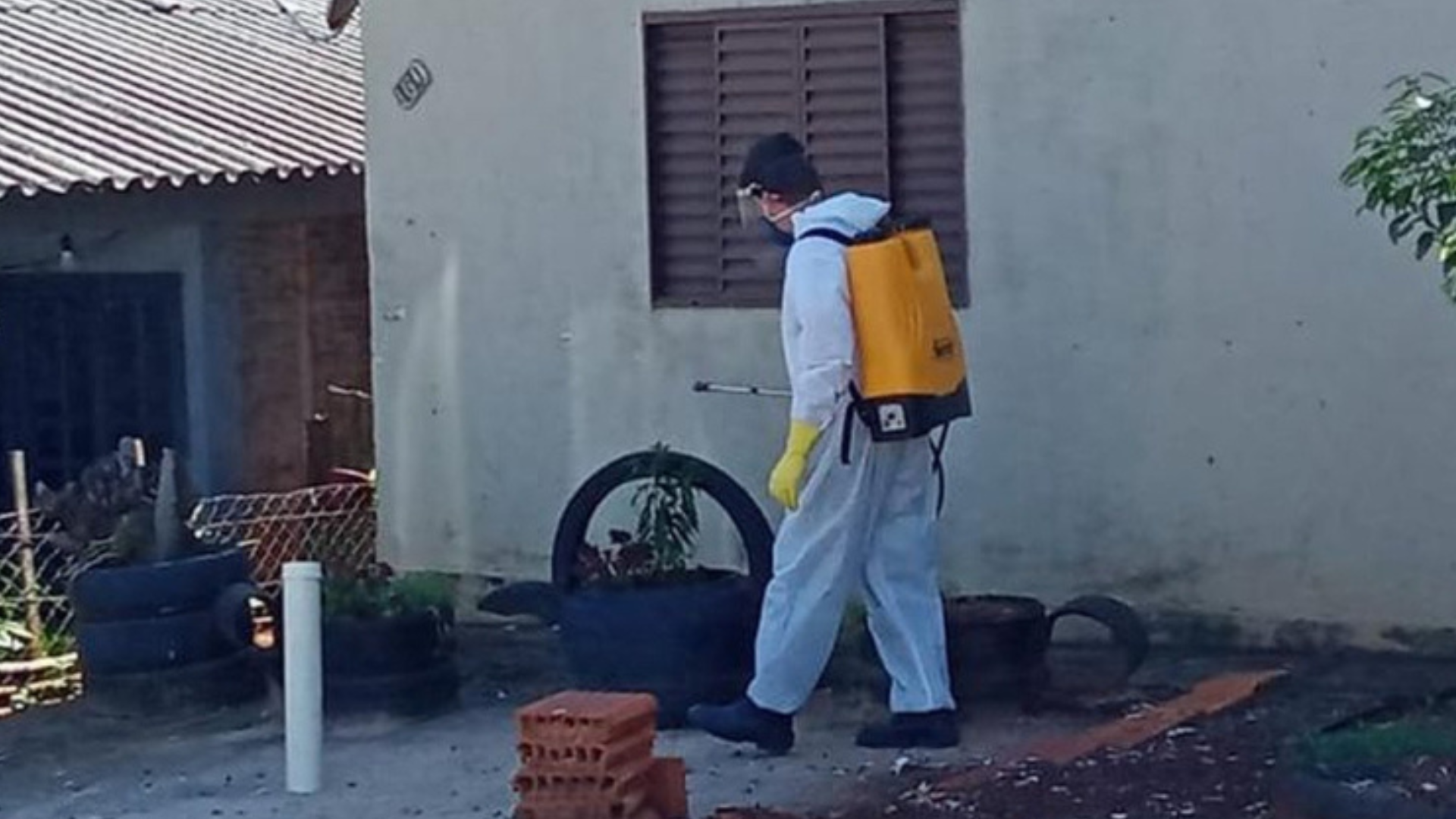 portal plural dengue rs