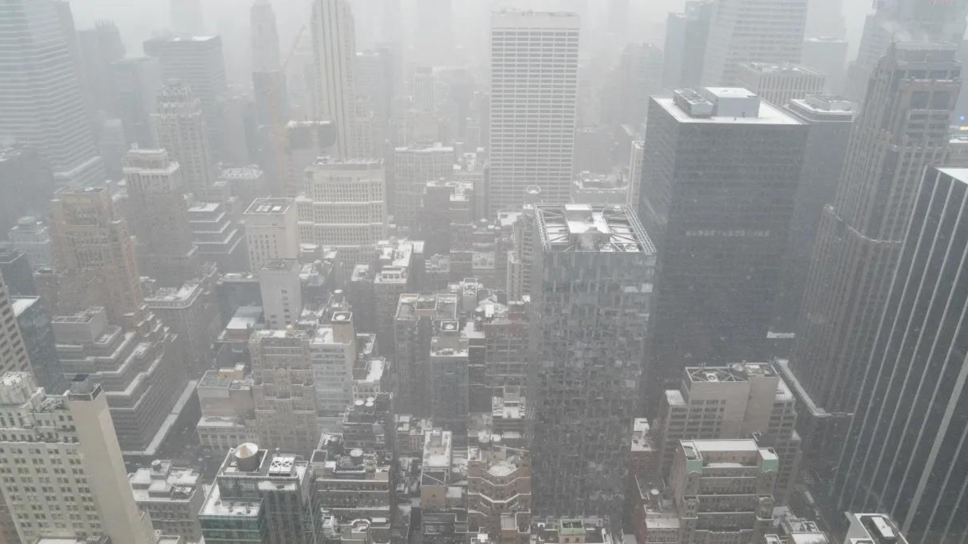 portal plural nevasca nova york