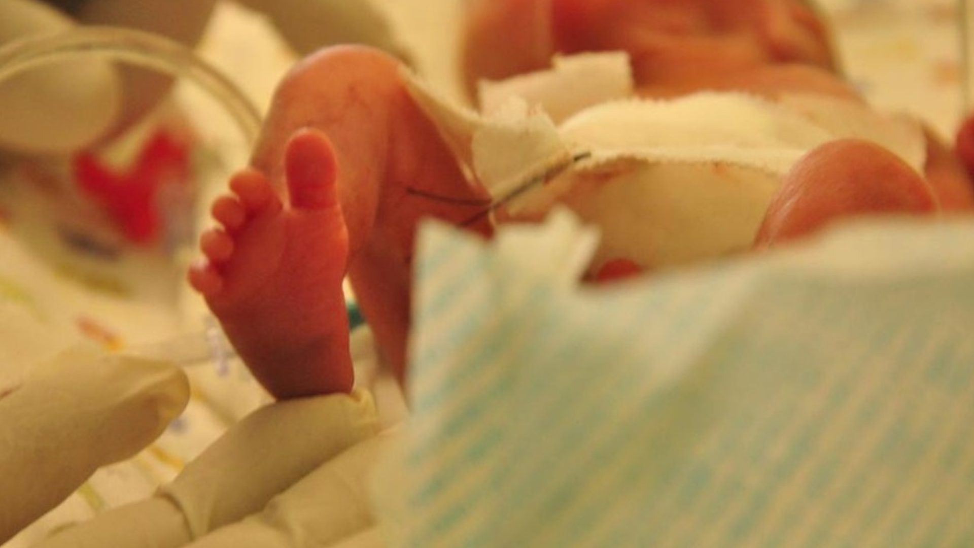 portal plural uti tres passos