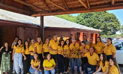 portal plural feira do butia