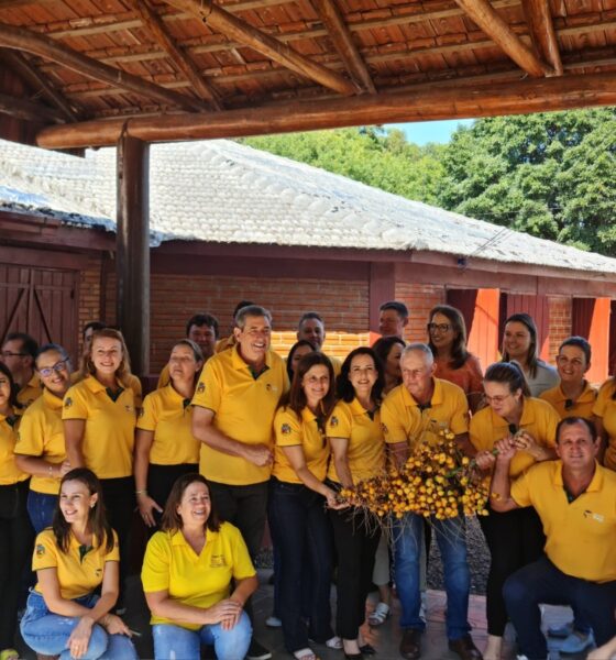 portal plural feira do butia