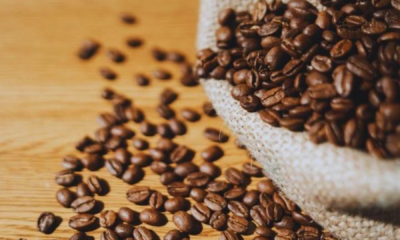 portal plural colheita de café no brasil alcança sequência histórica de altas em 144 anos