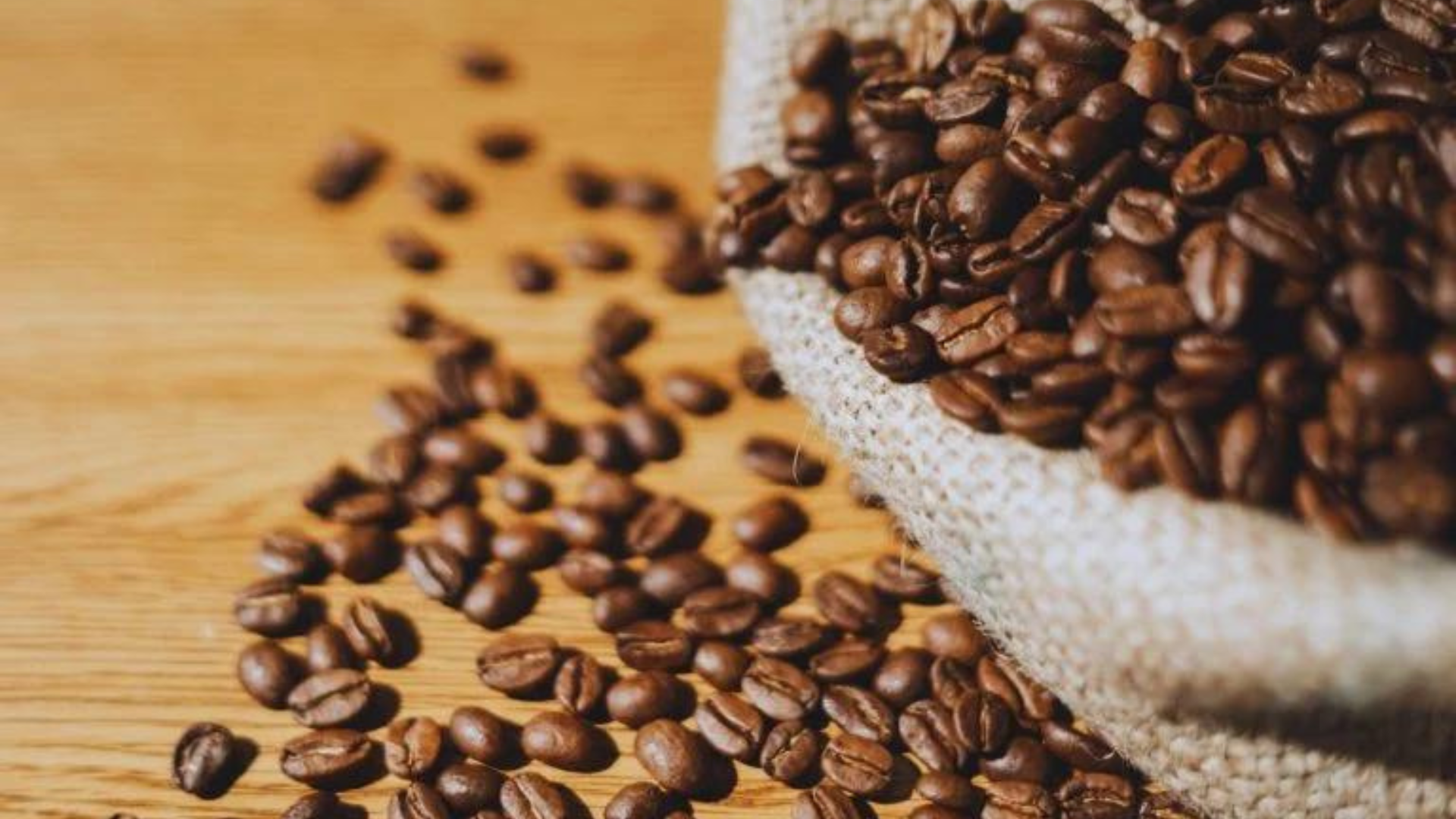 portal plural colheita de café no brasil alcança sequência histórica de altas em 144 anos