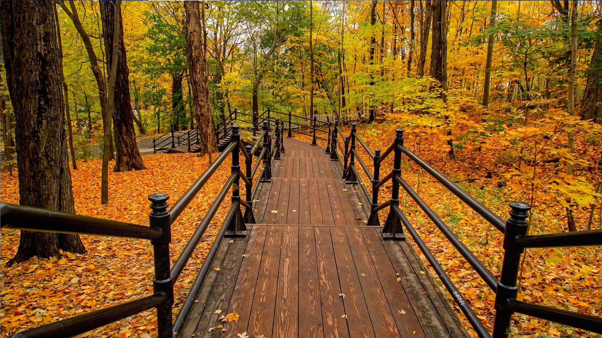 portal plural entenda os significados do equinócio de outono que ocorre nesta quarta feira (20)