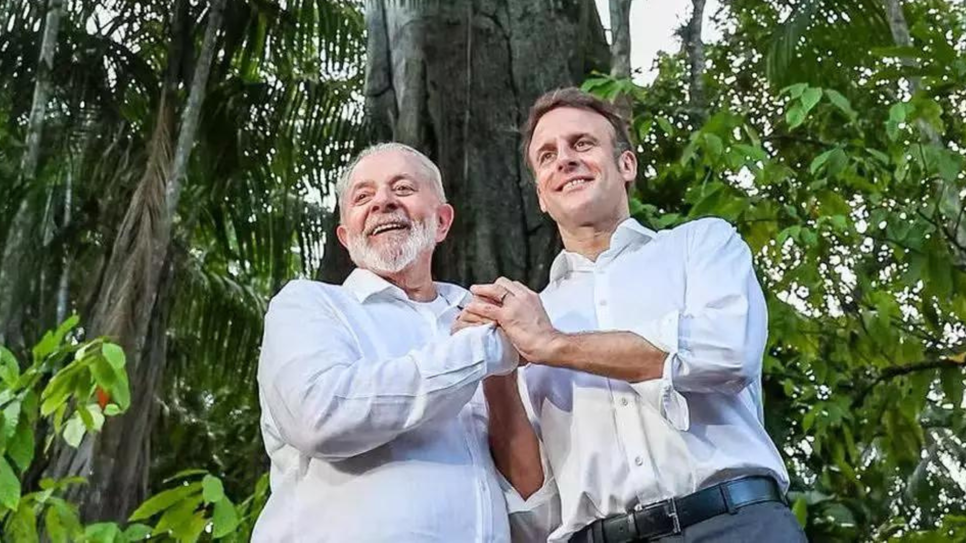 portal plural lula e presidente francês anunciam investimento de 1 bilhão de euros na bioeconomia amazônica