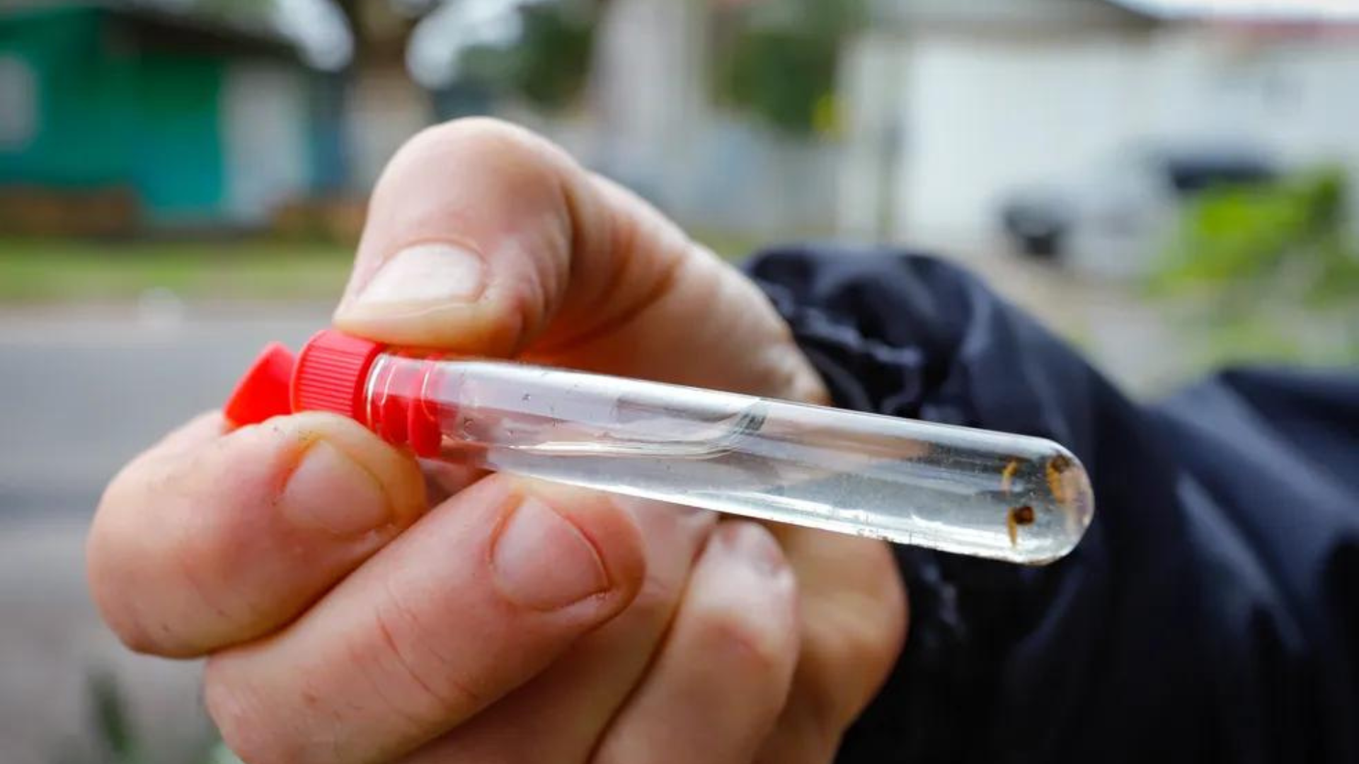 portal plural rs registra cinco novas mortes por dengue, elevando total de óbitos para 34