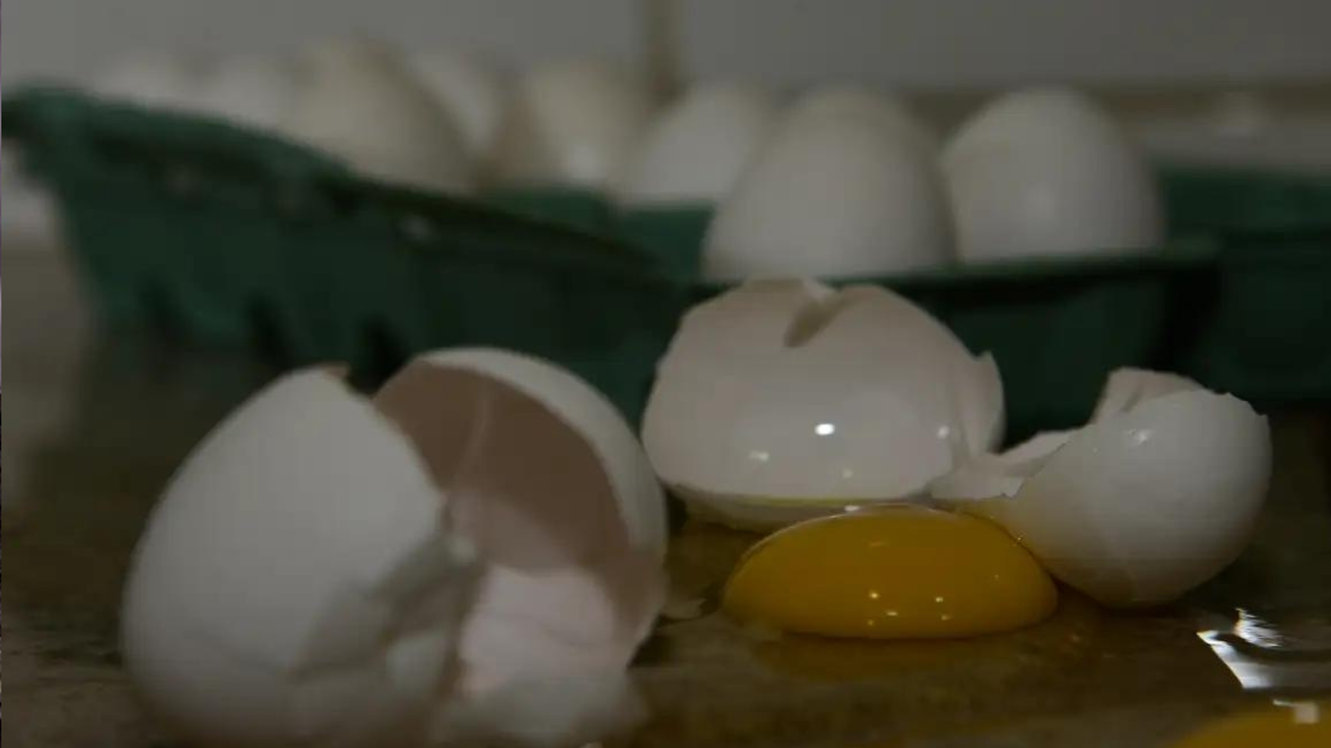 portal plural aumento de 12% no preço dos ovos no rs gera preocupações na produção