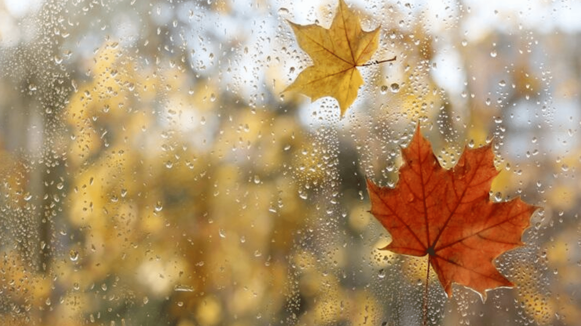 portal plural calor com dias contados vem aí a primeira frente fria do outono