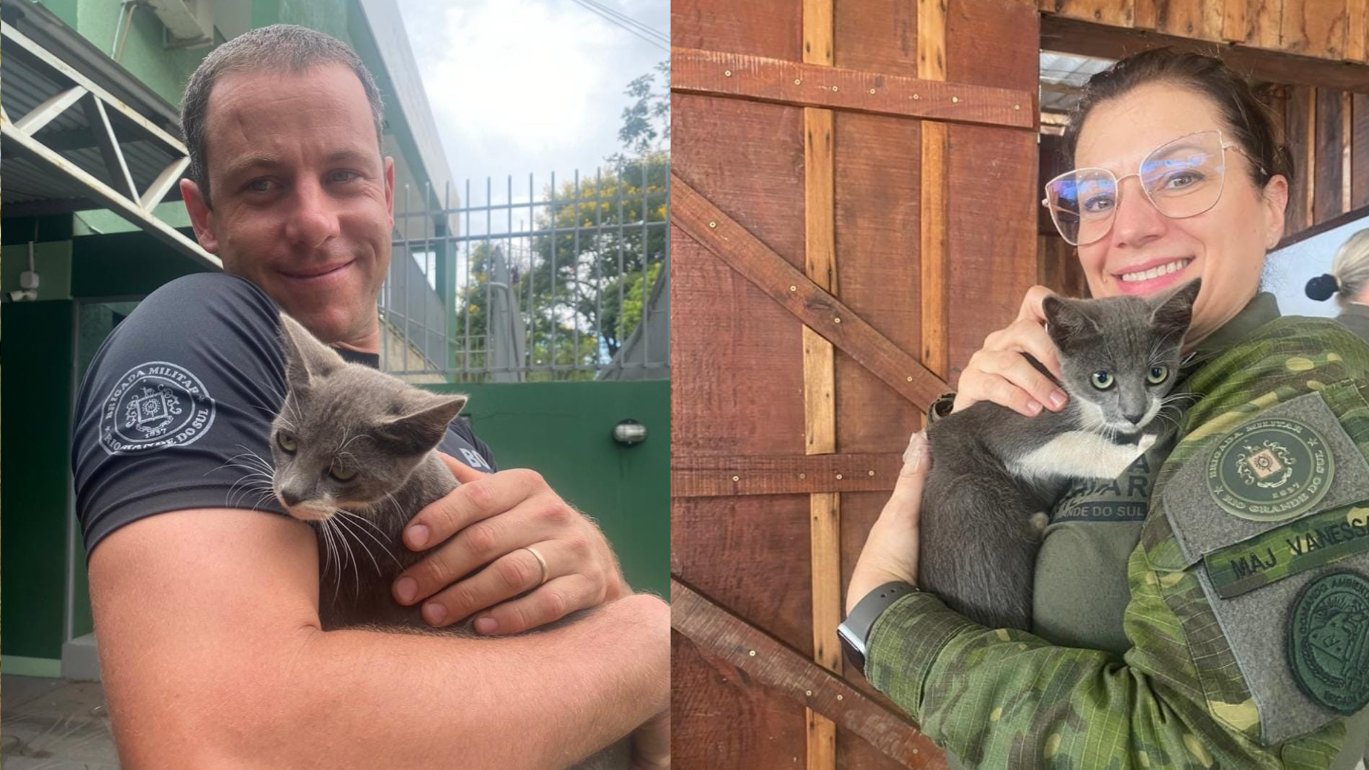 portal plural policial militar ambiental de santa rosa adota gatinha encontrada em motor de veículo