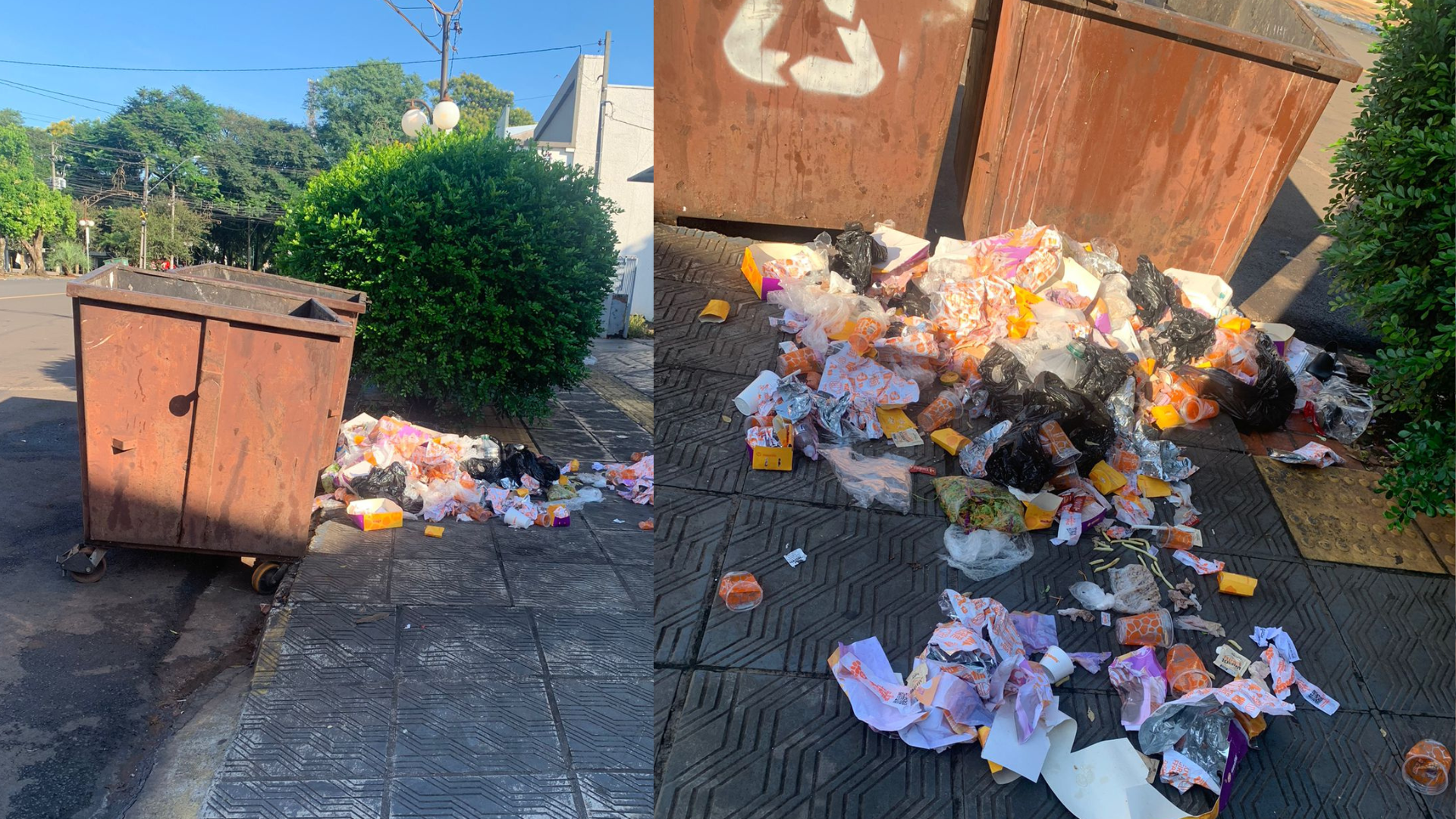portal plural problemas em conteiner de lixo preocupa populares no centro de santa rosa