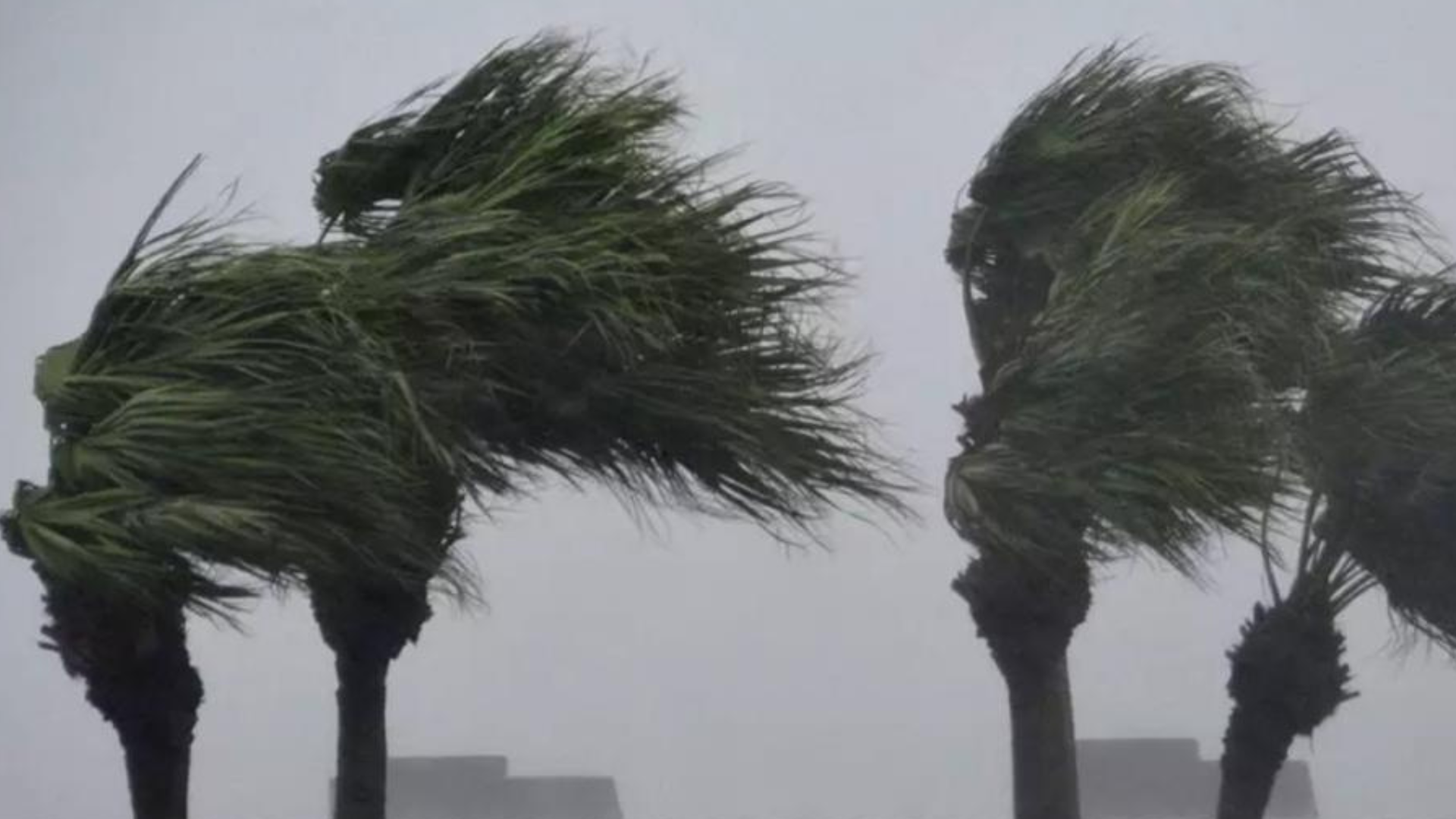 portal plural rajadas de vento ultrapassam 140 quilômetros por hora no rio grande do sul