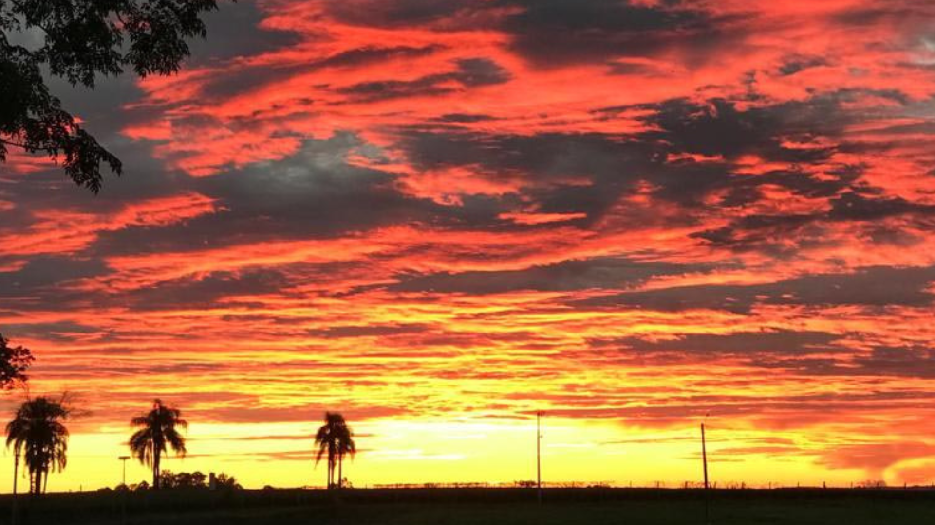 Semana tem predomínio de sol e temperatura máxima de 38°C na região  carbonífera