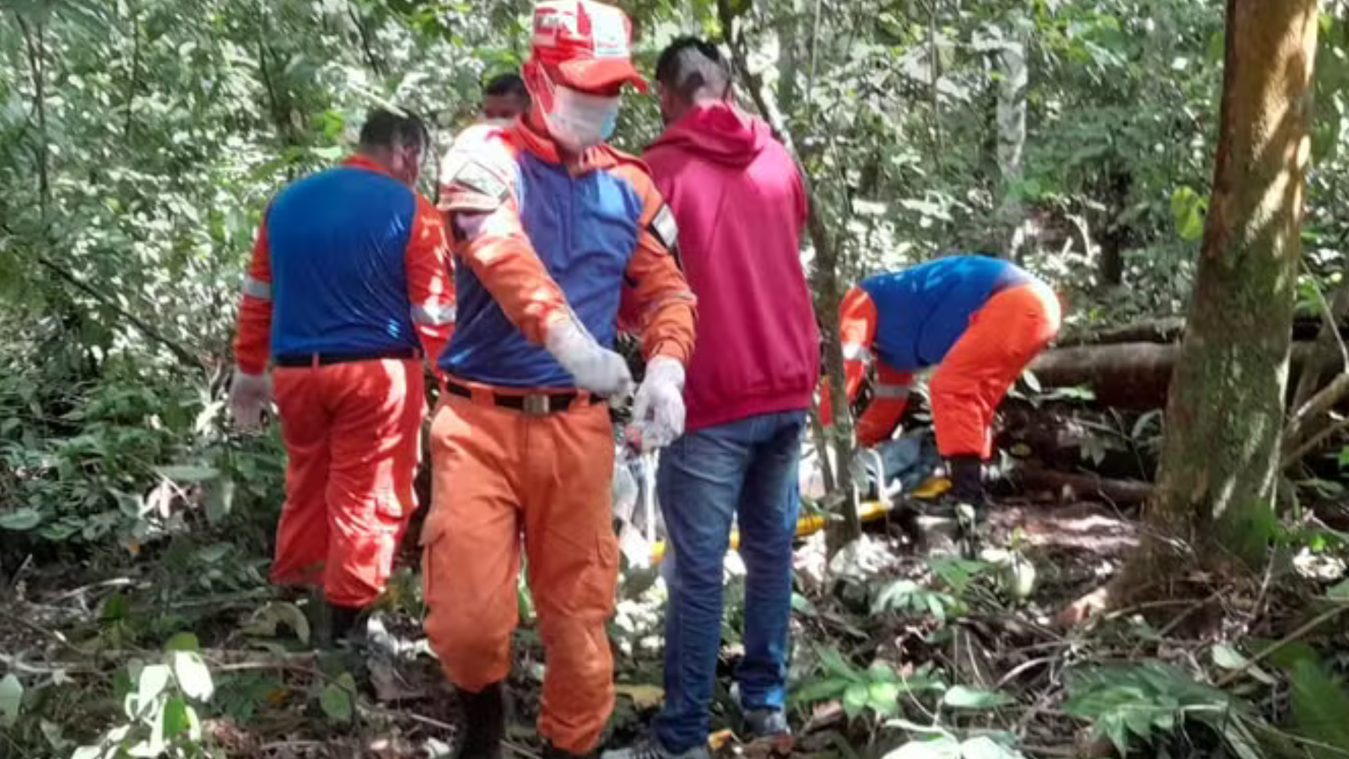 portal plural corpo de mulher grávida é encontrado em área de mata no interior do amazonas