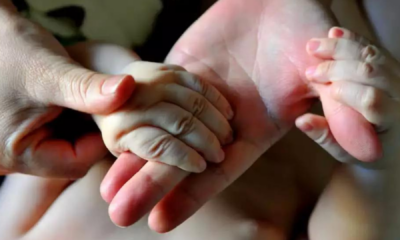 portal plural maioria dos brasileiros apoia ampliação da licença paternidade