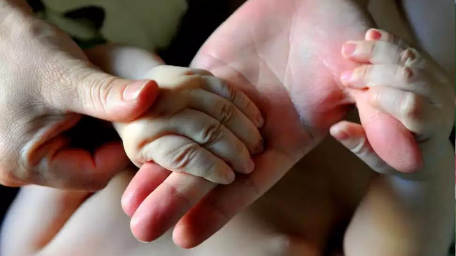 portal plural maioria dos brasileiros apoia ampliação da licença paternidade