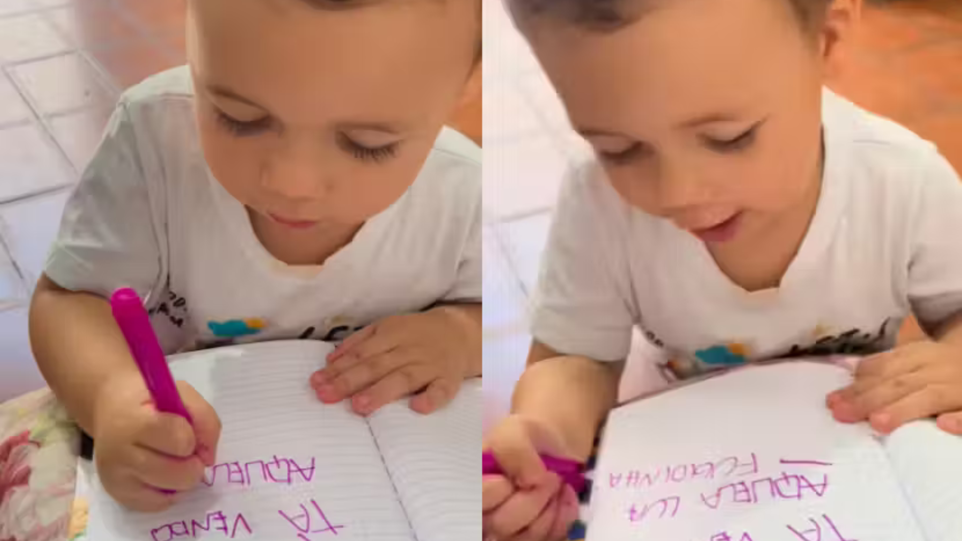 portal plural menino de 2 anos aprende a ler e escrever sem ajuda e conquista a webr