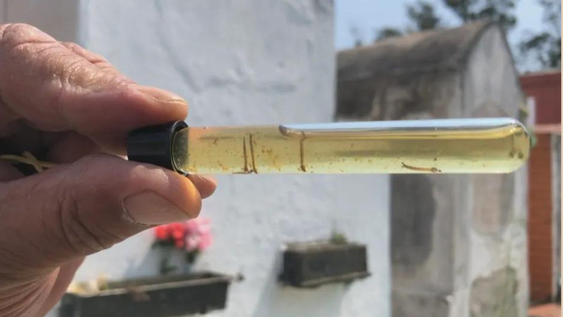 portal plural rs registra mais mortes por dengue em três meses de 2024 do que em todo ano anterior