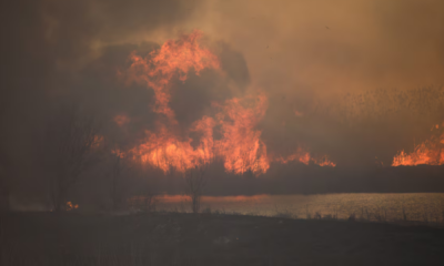 portal plural recorde de calor no planeta é registado pelo 10º mês seguido o que está acontecendo