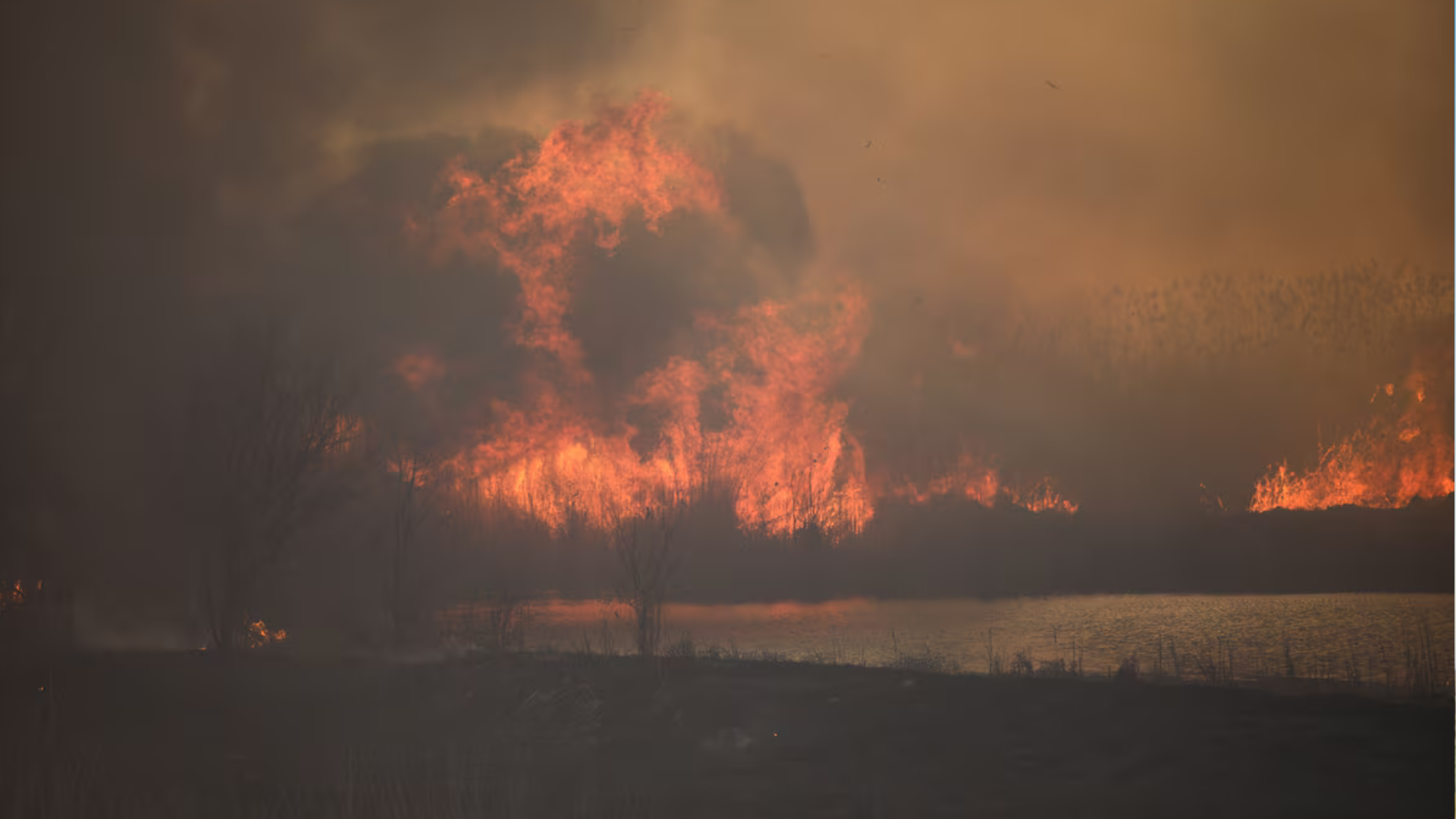 portal plural recorde de calor no planeta é registado pelo 10º mês seguido o que está acontecendo