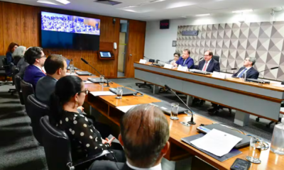 portal plural reforma do código civil está em discussão no senado assuntos como união homoafetiva, proteção aos animais e doação de órgãos estão em pauta