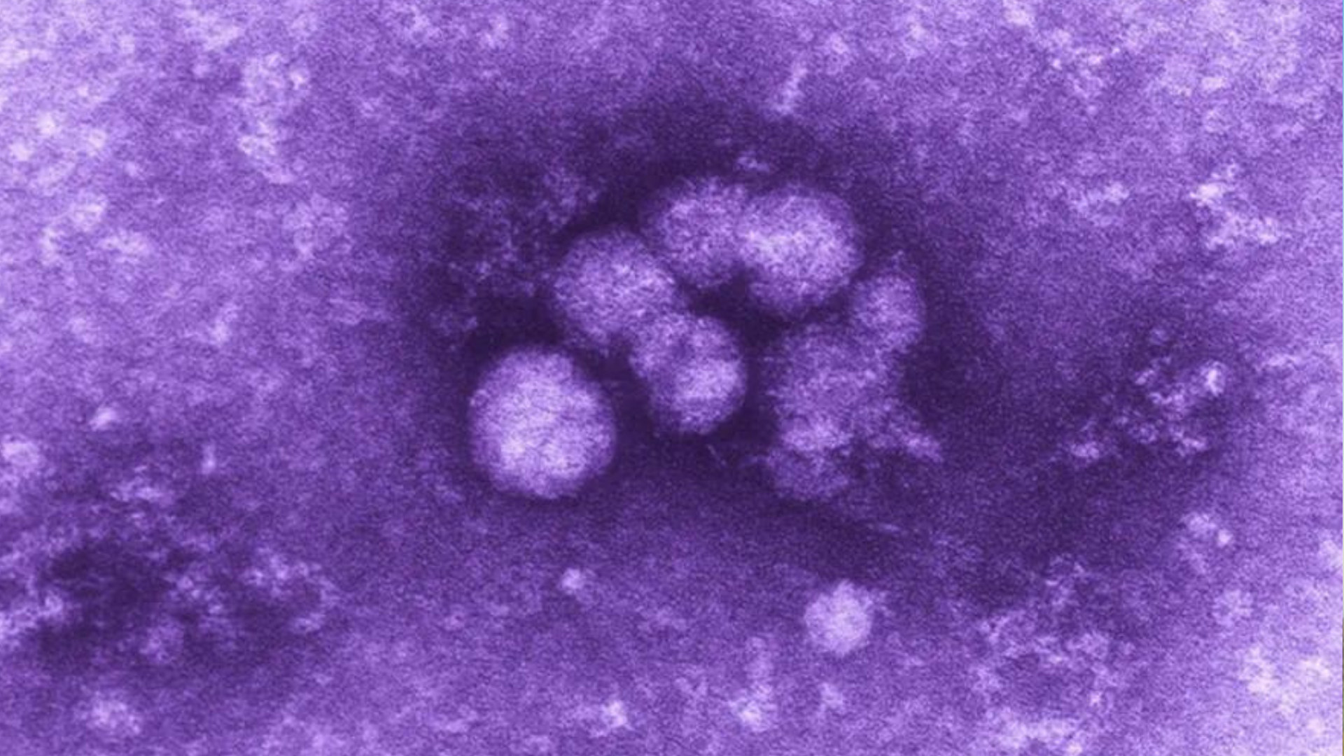 portal plural vírus da hepatite mata 3,5 mil pessoas por dia no mundo