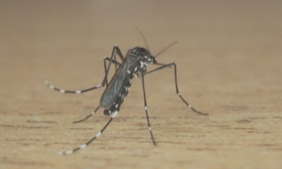 portal plural abril começa com sol entre nuvens e calor em santa rosa (1)